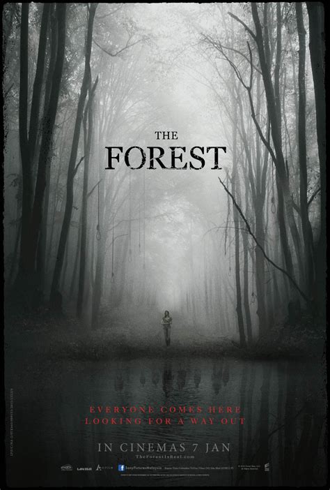 The Forest: Directed by Frank Helmer. With Robert Paul Taylor, Coleman Drew, Chris Toledo, Felix Barron IV. When a young hiker encounters a sexy stranger ...